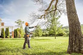 Best Tree Preservation Services  in Richland, WA