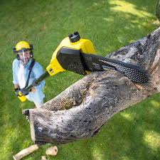  Richland, WA Tree Services Pros