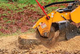 Best Stump Grinding and Removal  in Richland, WA
