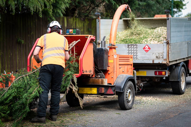 Best Aeration Services  in Richland, WA