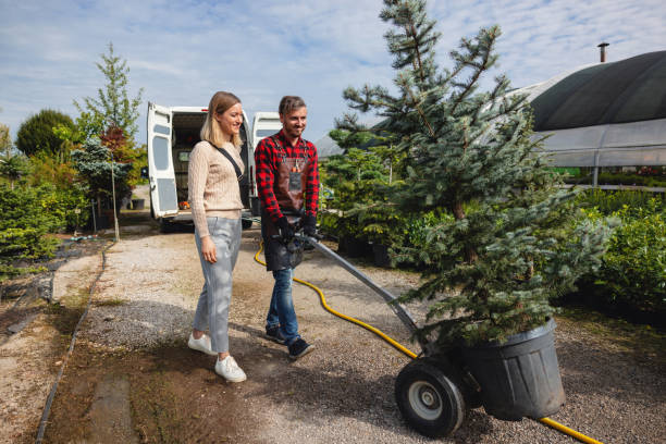 Best Grass Overseeding  in Richland, WA